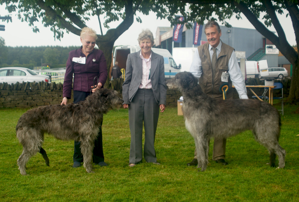 BOB & BOS Deerhound Club Breed Show 2015